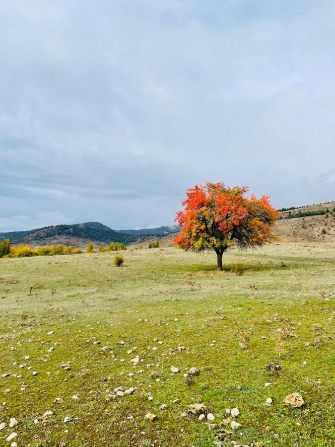 Alojamiento Rural Los Hacheros Tragacete Exterior photo